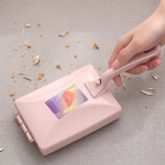 handheld carpet brush